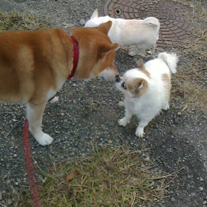 19ee9411 bf20 41f6 88ef 616280a4b864 1512178605878