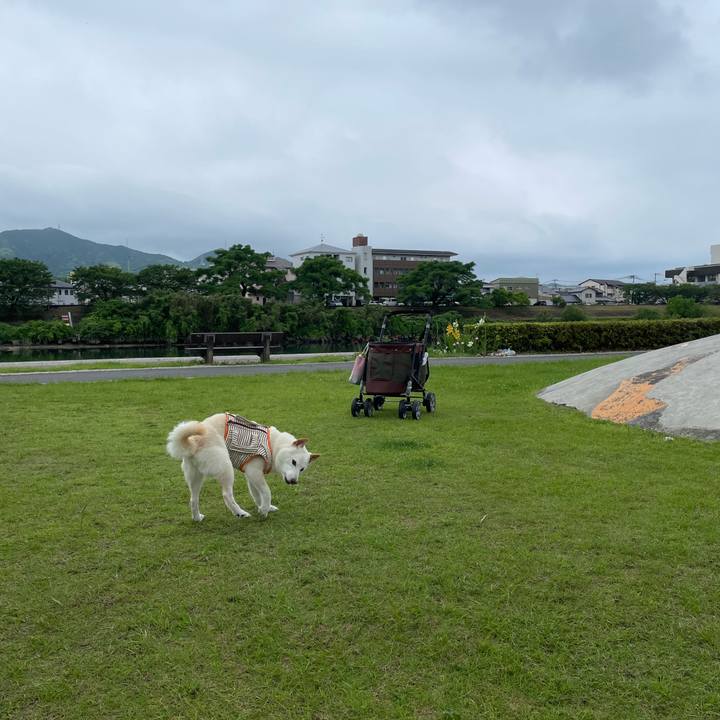 19eea9aa bd17 4c04 85ce 3ebc747de37f 1655644452317