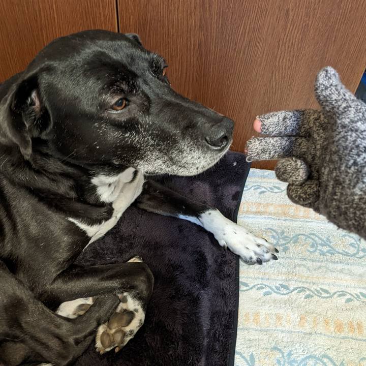 19ef0018 3840 4f9c 80c1 7ff70ebf5a5a 1708822972577