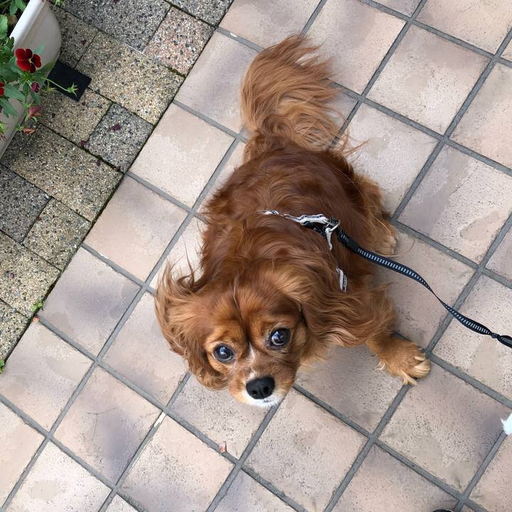 19ef0022 4611 43a5 9acd bb24739d9a65 1620685113118