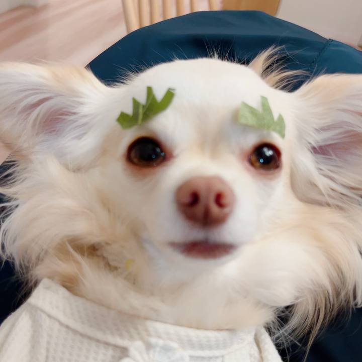 19ef0e46 585f 487f a546 dfaca3b2572b 1714908518239