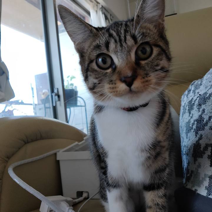 19ef1767 1009 46ba a137 82662e3119ff 1634944808178