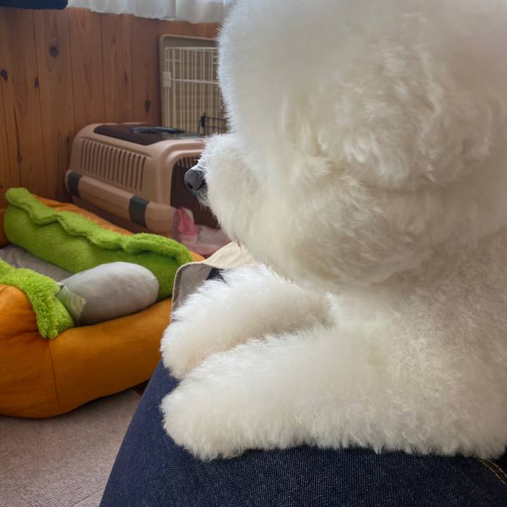 19ef6a8b 4e92 4446 8264 e0764ec59e88 1626591035742