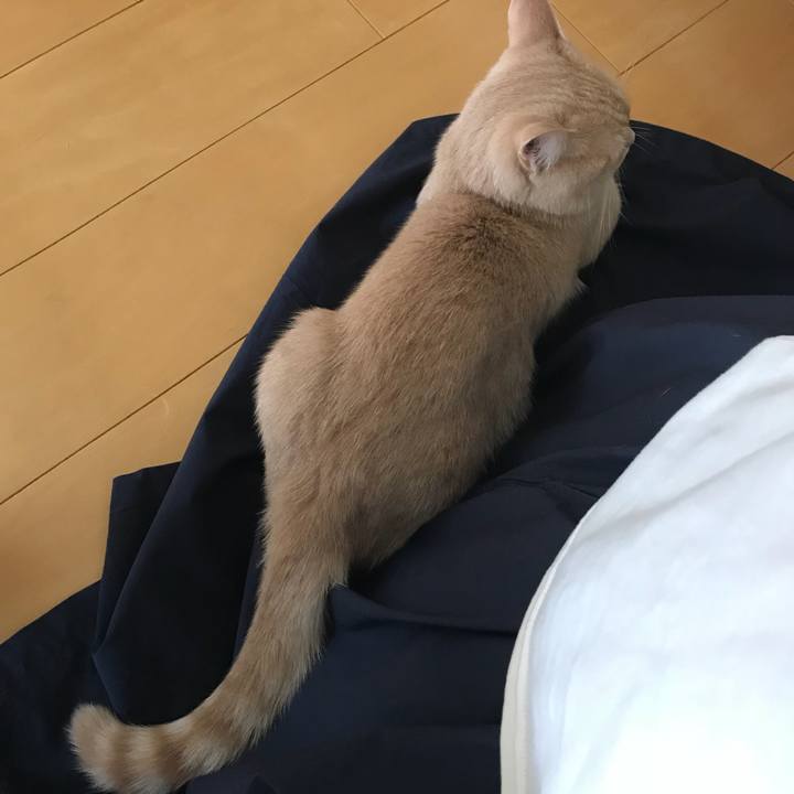 19ef7872 05b5 4c51 8552 9ef0398938ae 1534243529899