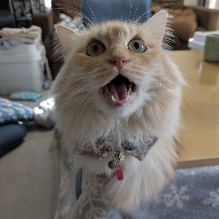 19efb8d8 a6b3 4888 9ebf 5084147c610e 1769826277121