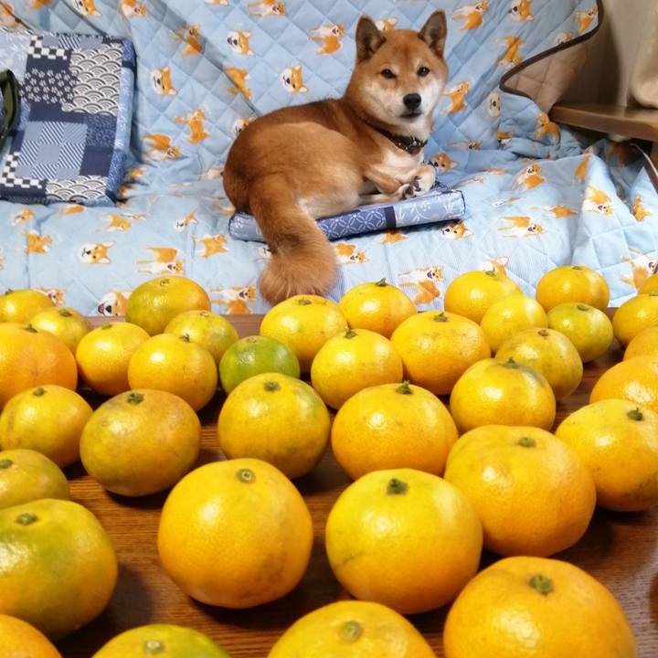 19efd9d5 cf37 4c60 a39d a0e16831bc9c 1604215069550