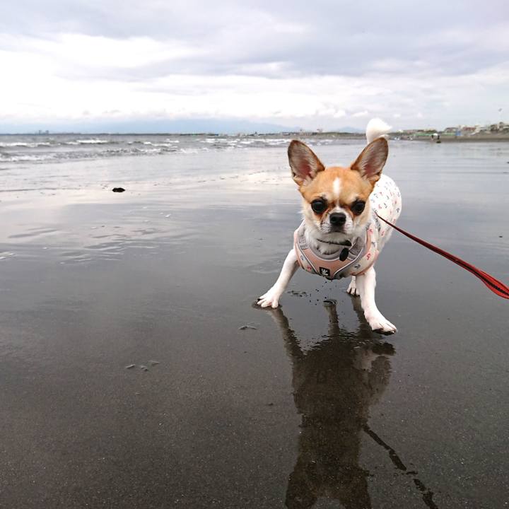 19efdc99 0ce7 482f bbc8 6b883a6024b8 1557108557715