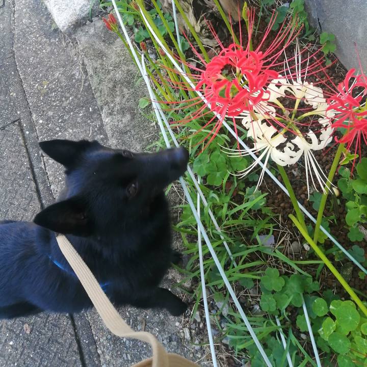 19efdf6c 6bd6 4f69 9ccf 52313cd6f9bf 1632004182238