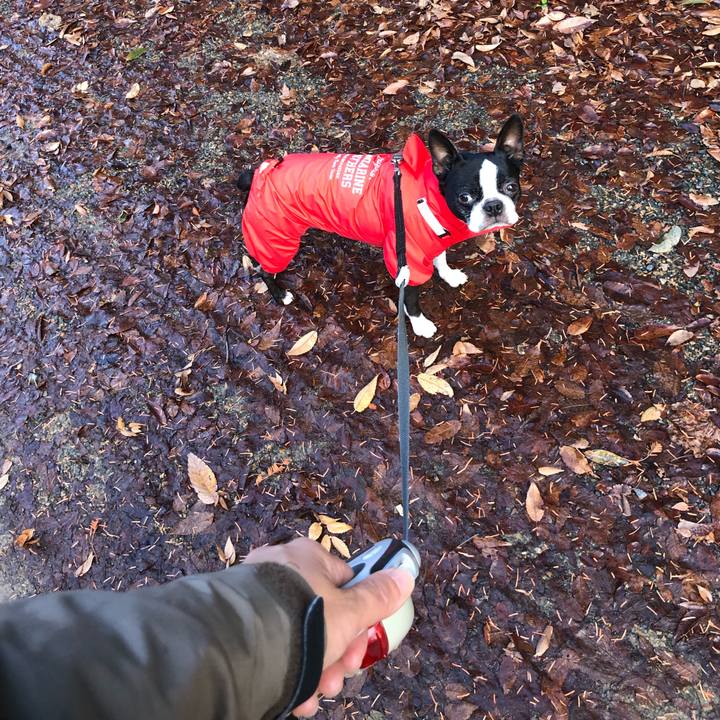 19efe1ef efc0 4d81 9dc2 699fcbd87590 1639718785518