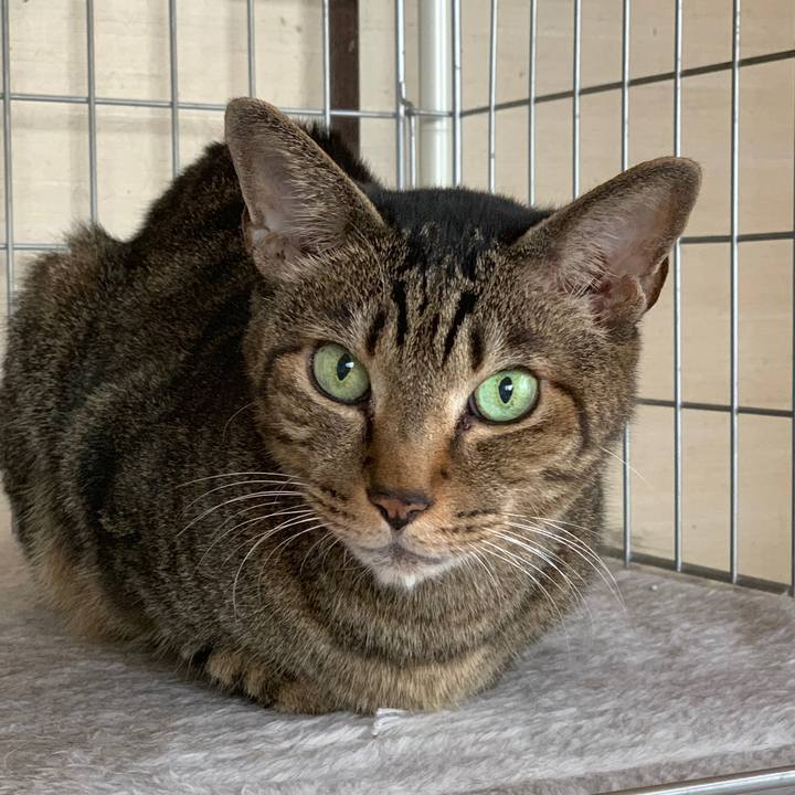 19f03d40 9ccc 4199 9ce2 8af6fca2a1f6 1541209033664