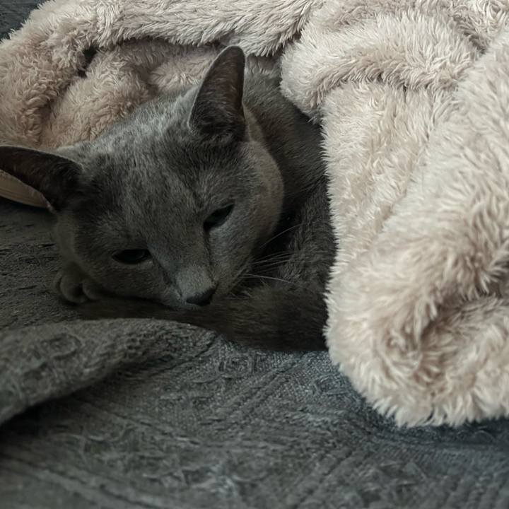 19f0480b cdf4 4389 98ed 5d04a5916245 1748561607181