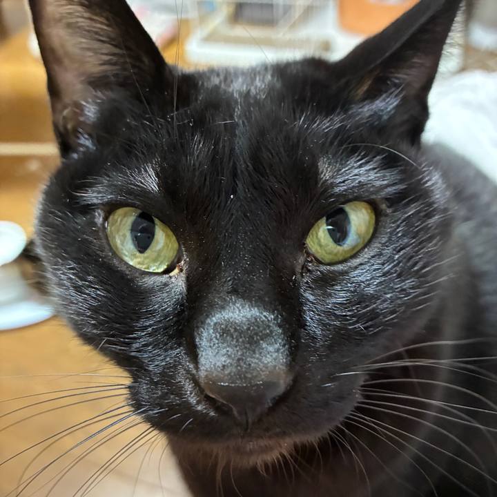 19f06f4a 682d 44b2 9234 33b9cd0c9ebd 1769772641916