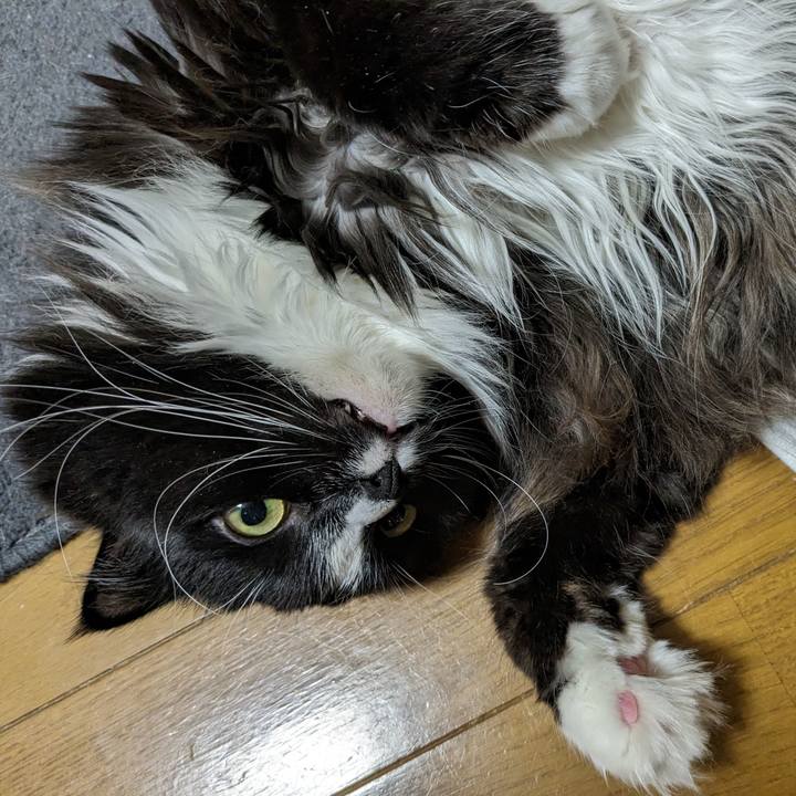 19f073ca ca44 46f7 b15b 822a07368ab5 1710456583794