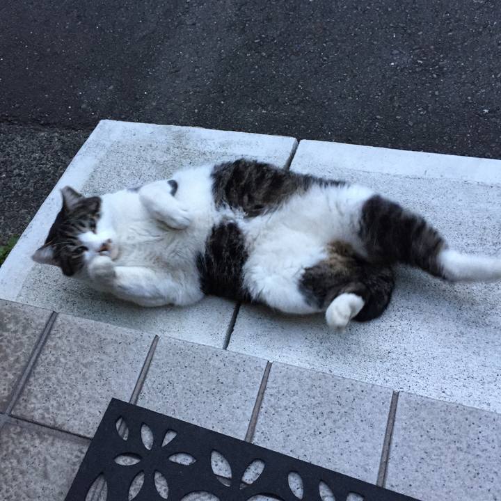 19f07ea3 c623 428d 95c3 5e60bc39bc89 1510051242198