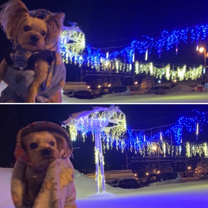 19f080c5 35f6 46a1 aa3b 3cd87c3d8d42 1640340168144