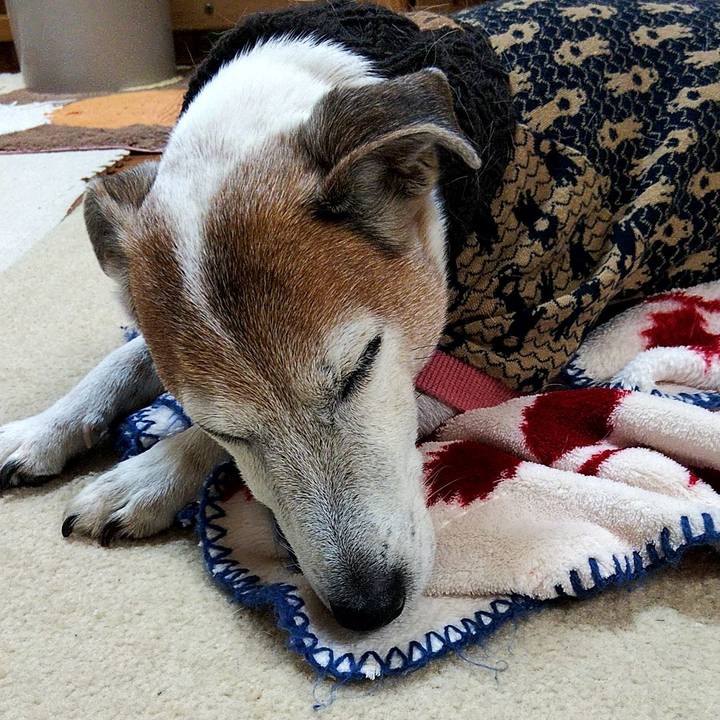 19f0ab90 15f2 4284 af3c 7e4ffff4dd41 1575113678281