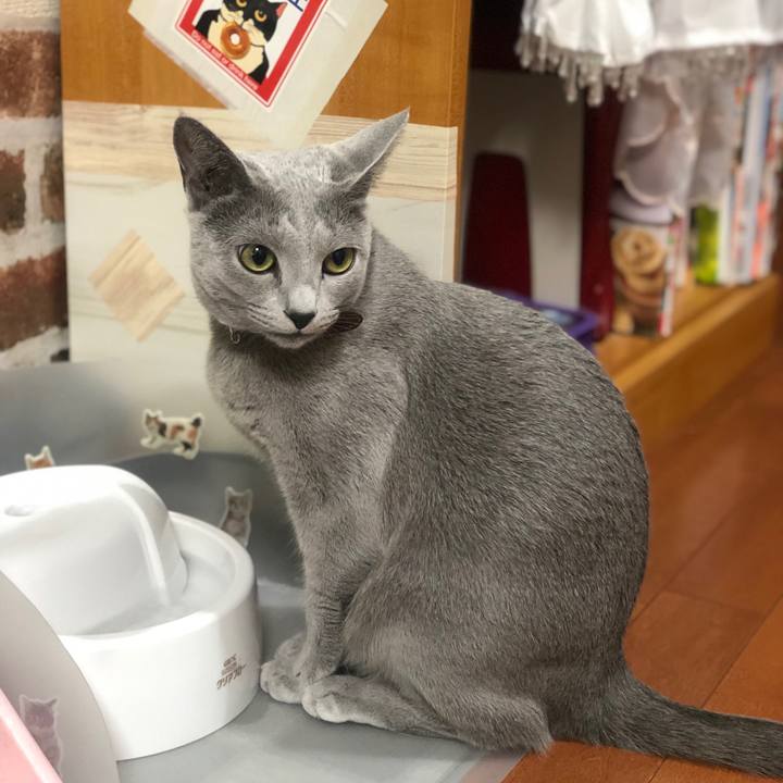 19f0dd0e d677 42f4 9cec 6c31d5a6ebb8 1544703341970