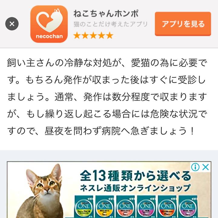 19f105cd 1733 4758 a57a a419421a923f 1531892082569