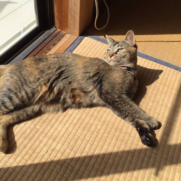 19f10e20 9358 438b 960c 04aaf750a0cc 1616377354043