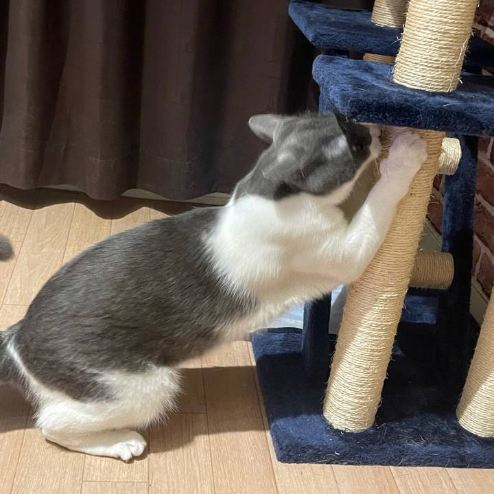 19f13153 58b8 4ea8 8a23 8df0f80dfe33 1626530499454