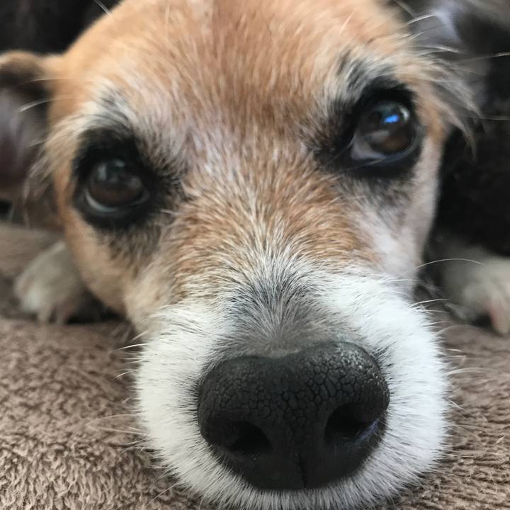 19f1429f 0f37 4a9d b174 5bc884b7c6ea 1578524605013