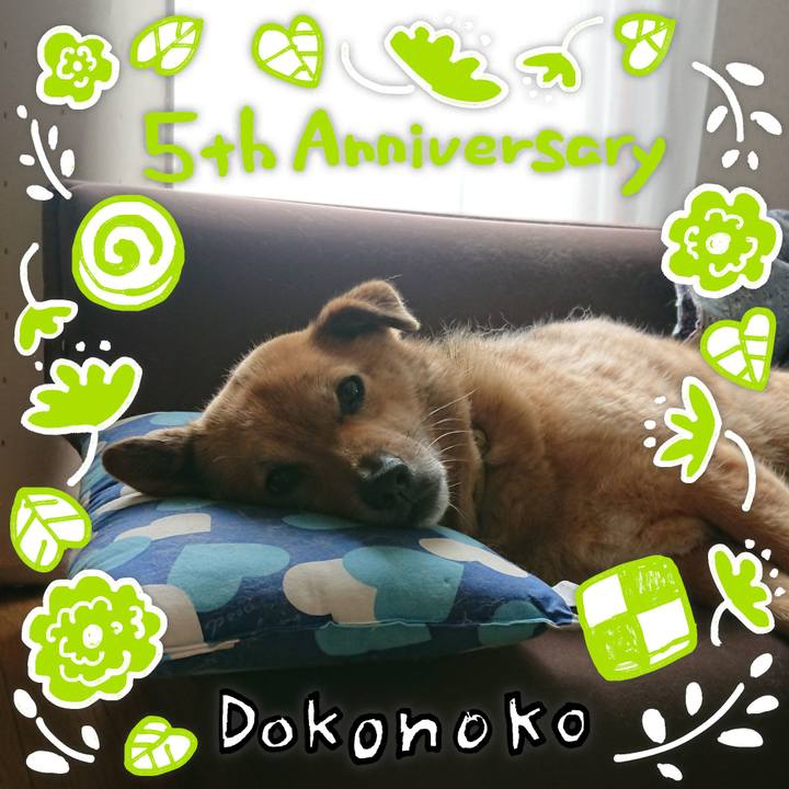 19f14752 ec60 42ad b52d c71c4ed50377 1623679757916