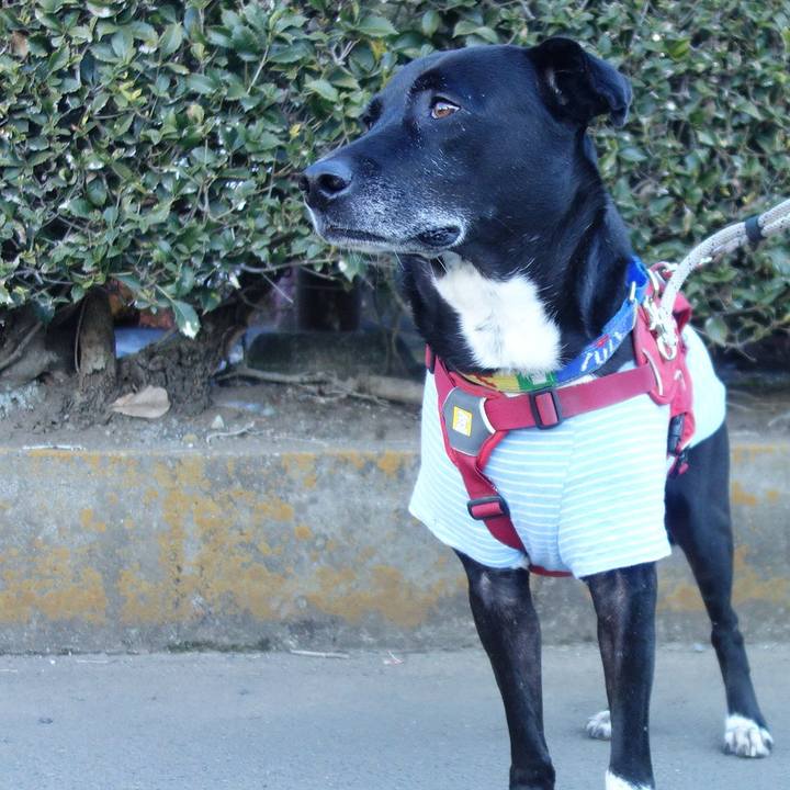 19f1854c 1beb 4d0c 8111 26ad8036d0ca 1672276224702