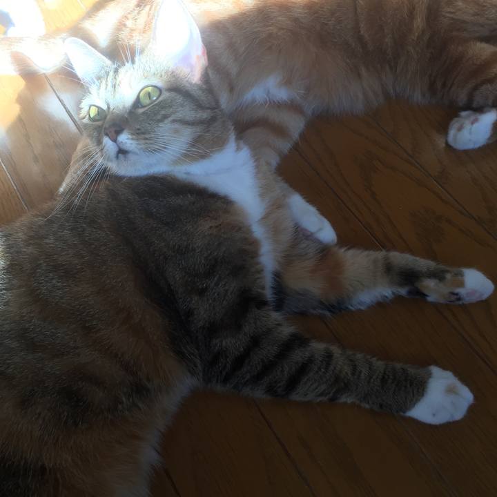 19f1b893 b924 409b acf7 f9a21abf746c 1573894831490