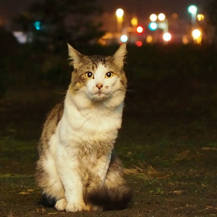 19f1e2e3 ddbc 4e92 9491 265948df6c38 1536925912995