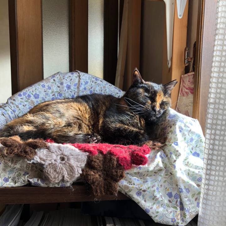 19f1e59b 7c1e 40f9 8446 df60c4b2a803 1683099467573