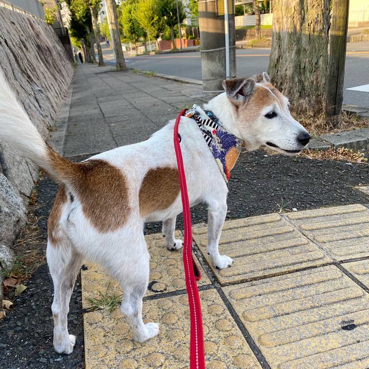 19f1f31b 7c7e 47f2 8256 82e921e82757 1597705261509