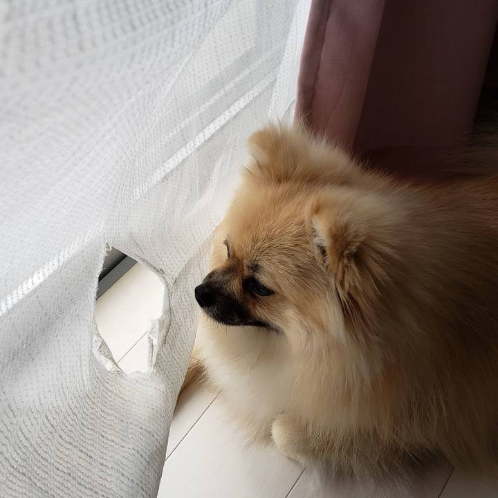 19f202cf 6d6e 48ac 8366 e9bab7a71677 1637294792325