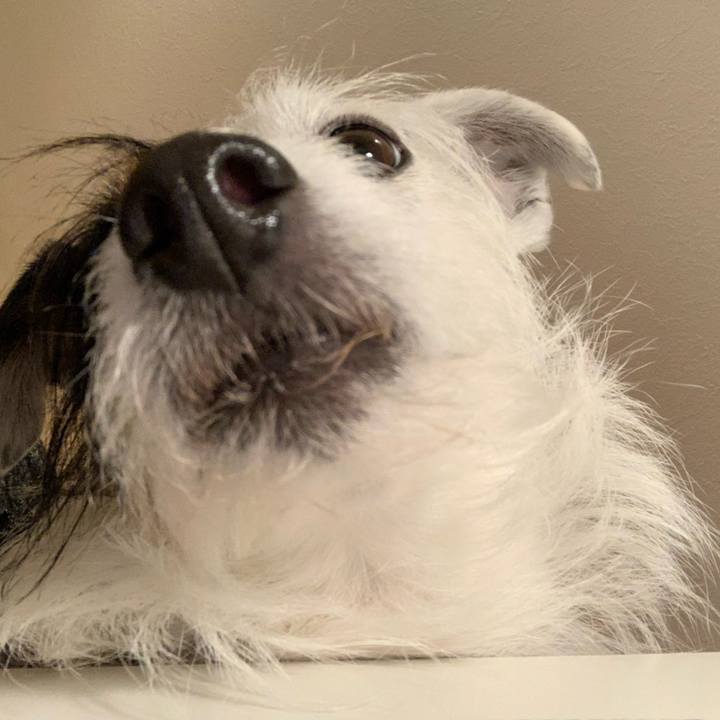 19f23d79 fbbf 482b b2e4 ab1ac123f00a 1586516731193