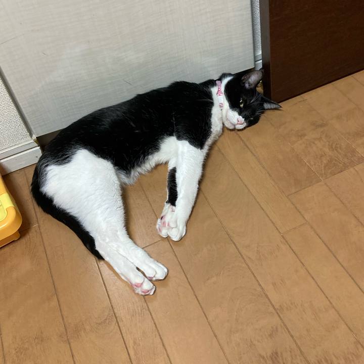 19f2ae93 5f18 434c ba76 c5bbbf950ada 1677032966815