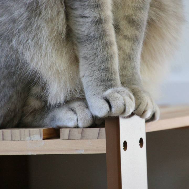 19f2fc62 ed5d 44b7 ab7a ba42bbcd60f2 1518569154416