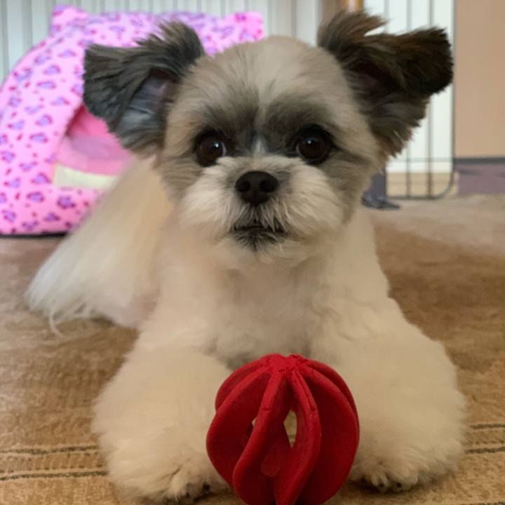 19f312c6 e098 4c42 b307 b155cd84bedb 1566358894486