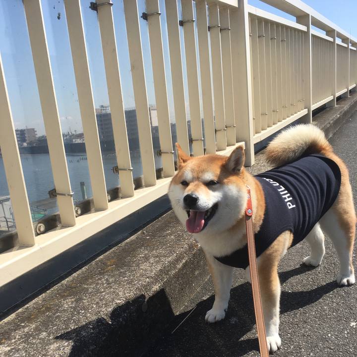 19f38338 7fe0 4279 9a99 beaa725e9f40 1552105125440