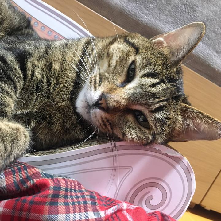 19f392f0 225a 48b6 b347 97c59d9d80aa 1576499334894