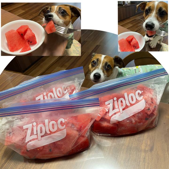 19f39a22 bab3 48d3 873a ba6f9f46f404 1691317715537