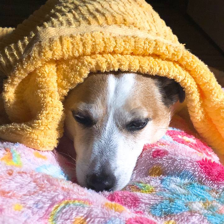 19f3ec46 d7bd 432e 959f 530f6f296b81 1545044505455