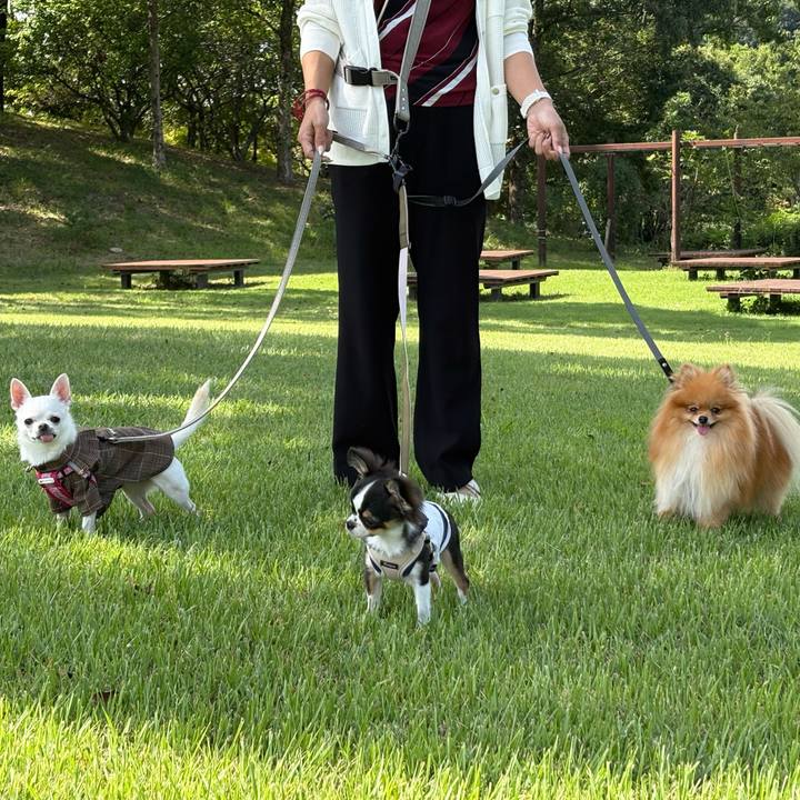 19f3f63d f581 4402 98b5 75d89d632610 1759202543956