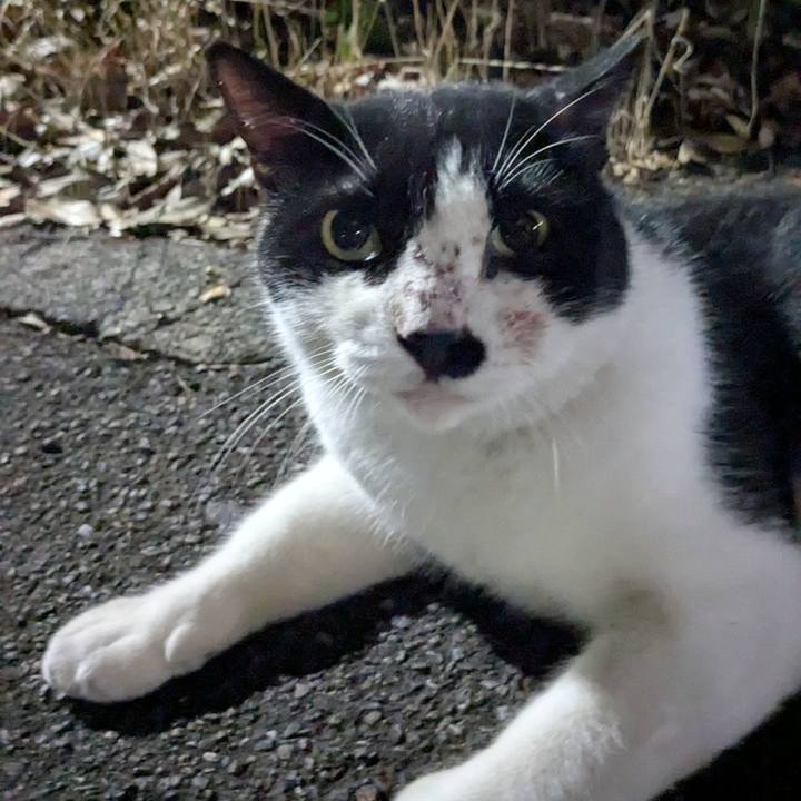 19f3f99f 539b 4a84 bec4 4677571d5762 1755955151444