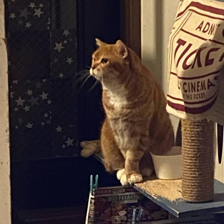 19f4002a 986f 4713 900d ab31032fcdba 1731765519554