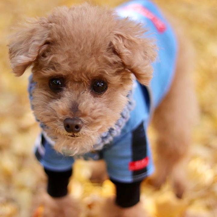 19f420b5 f43b 44ba a369 b0709662adf9 1667725635860