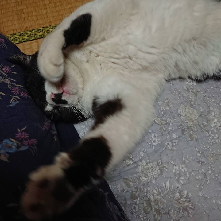 19f42c6d 0bdb 43a6 9a92 2f84466a6c41 1650666806379