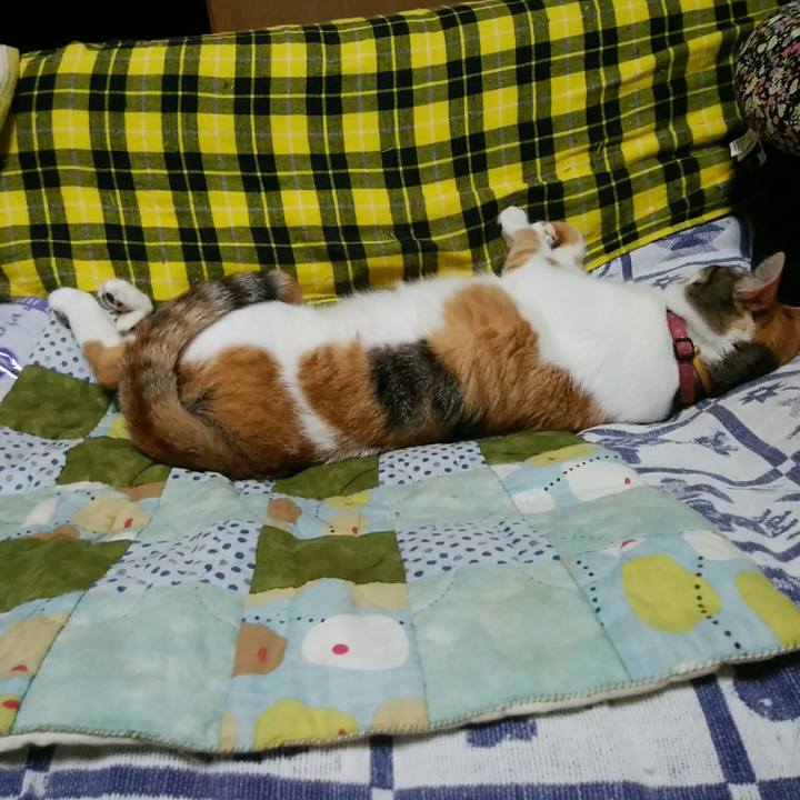 19f437d2 c924 4c36 aa87 65a47d623eb8 1538914318182