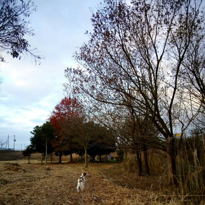 19f472a3 d0da 4447 9a48 271ea1161bc6 1514160175957