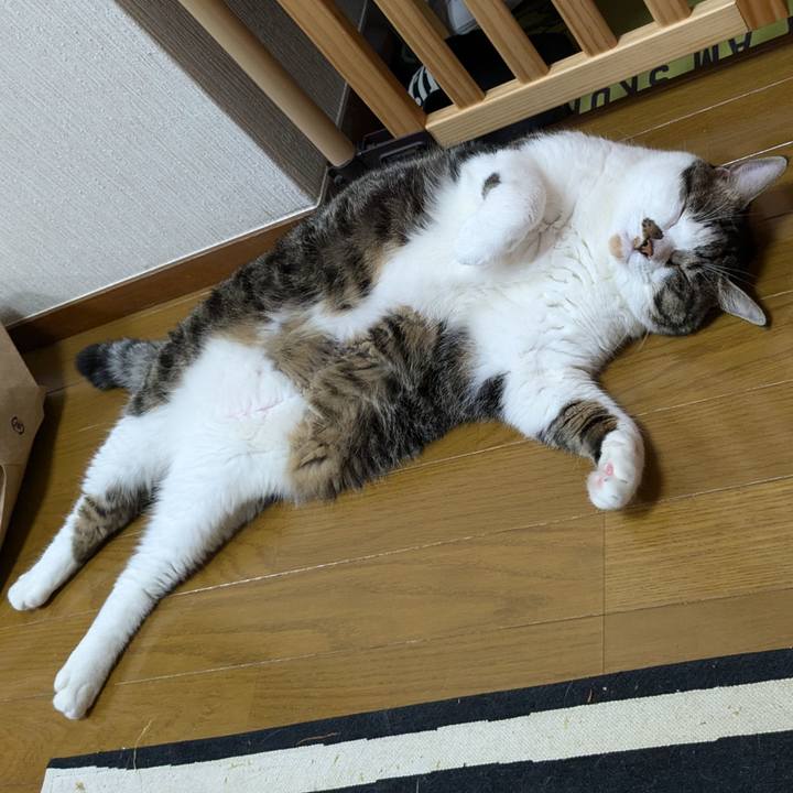 19f47836 4fb0 4419 8a5c 8b1d25a7fb3c 1728008696247