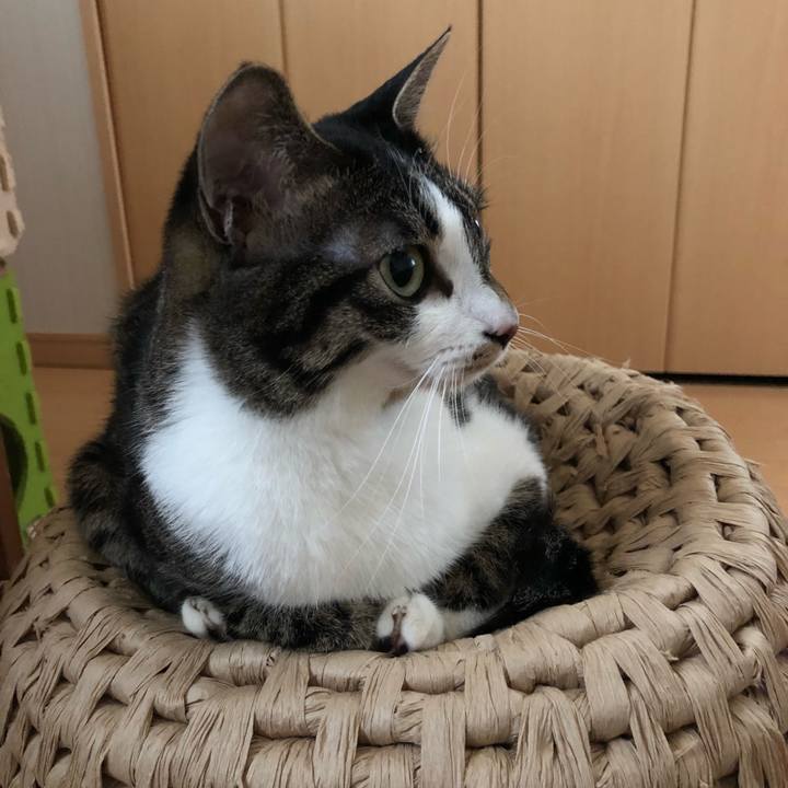 19f48749 4dc9 431a a7b5 c7029b9f12b3 1528632543365