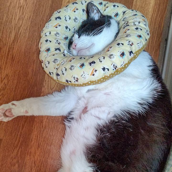 19f4af57 fbf8 4aa5 b6b2 3b510d9735eb 1646191562461